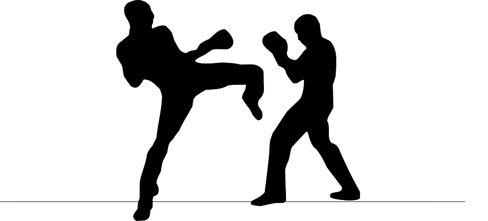 boxe francaise